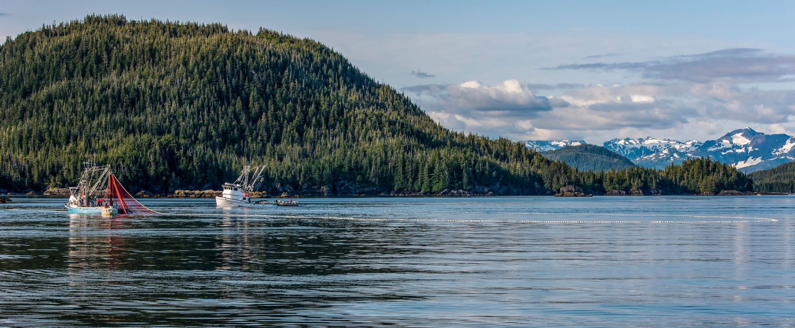 Top Freshwater Fish You Have to Catch in Your Lifetime
