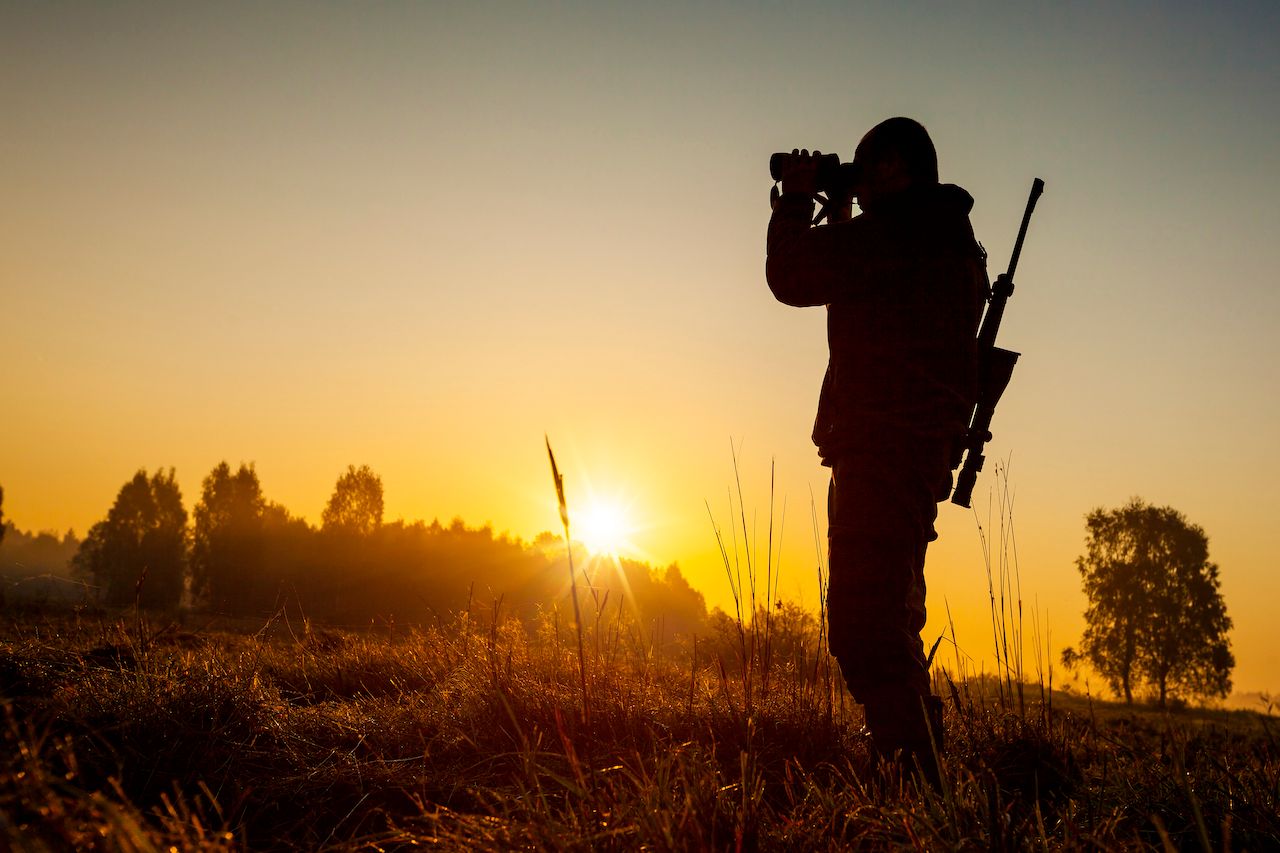 What You Need to Know About Hunting Public Land
