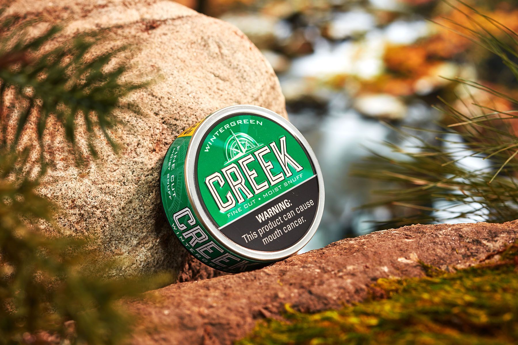 Creek Wintergreen Dip Spotlight